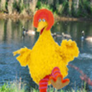 Meet your Posher, Skye